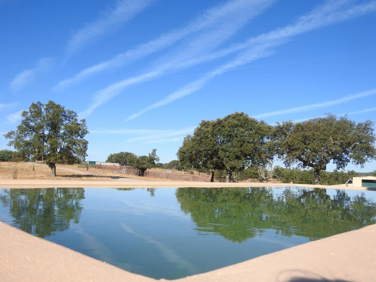 Eco-Lodge En La Reserva Privada Campanarios De Azaba - Proyecto De Conservacion Espeja ภายนอก รูปภาพ