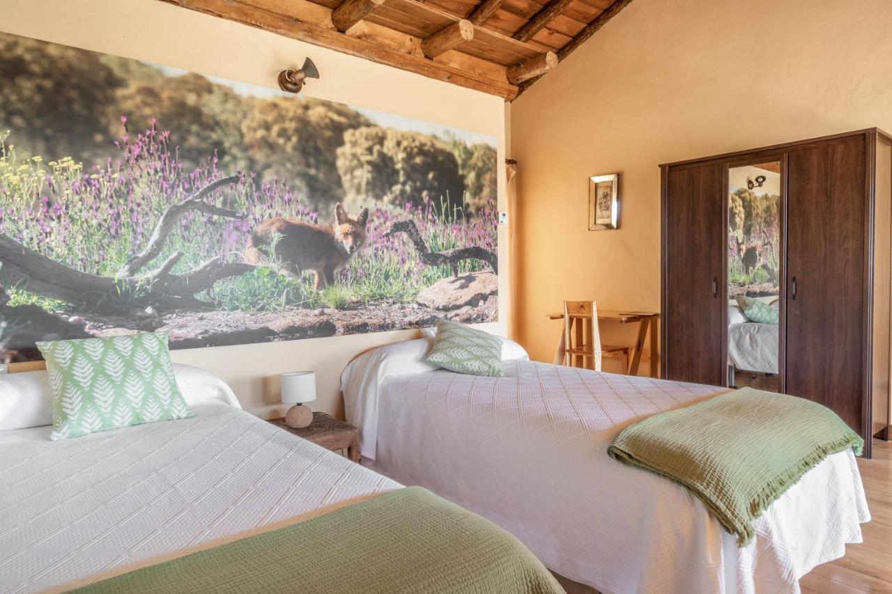Eco-Lodge En La Reserva Privada Campanarios De Azaba - Proyecto De Conservacion Espeja ภายนอก รูปภาพ