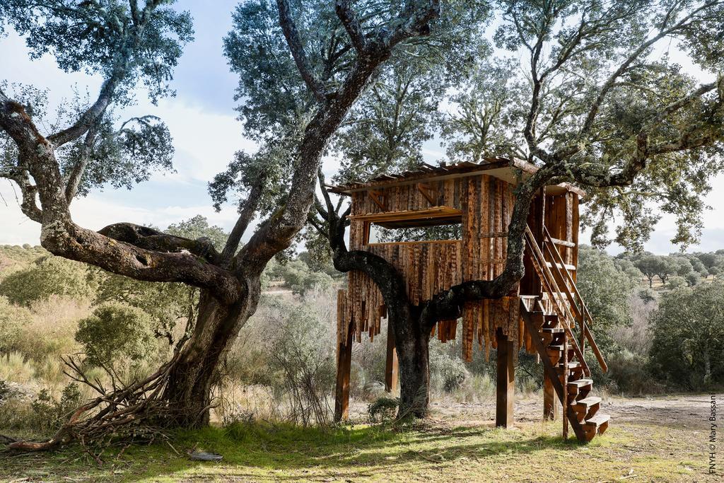 Eco-Lodge En La Reserva Privada Campanarios De Azaba - Proyecto De Conservacion Espeja ภายนอก รูปภาพ