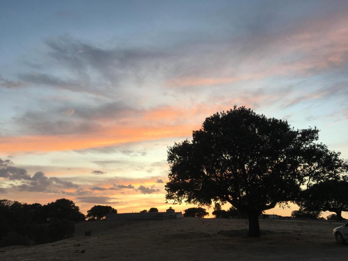 Eco-Lodge En La Reserva Privada Campanarios De Azaba - Proyecto De Conservacion Espeja ภายนอก รูปภาพ