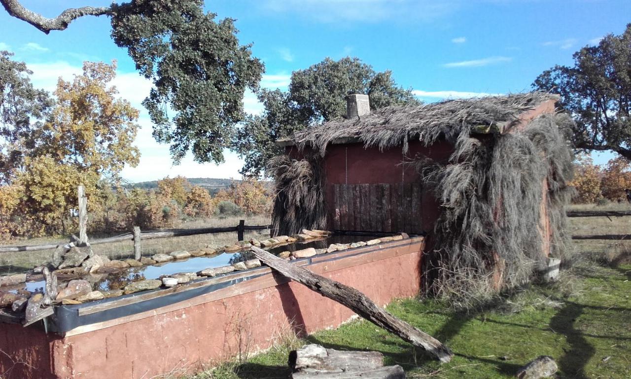 Eco-Lodge En La Reserva Privada Campanarios De Azaba - Proyecto De Conservacion Espeja ภายนอก รูปภาพ